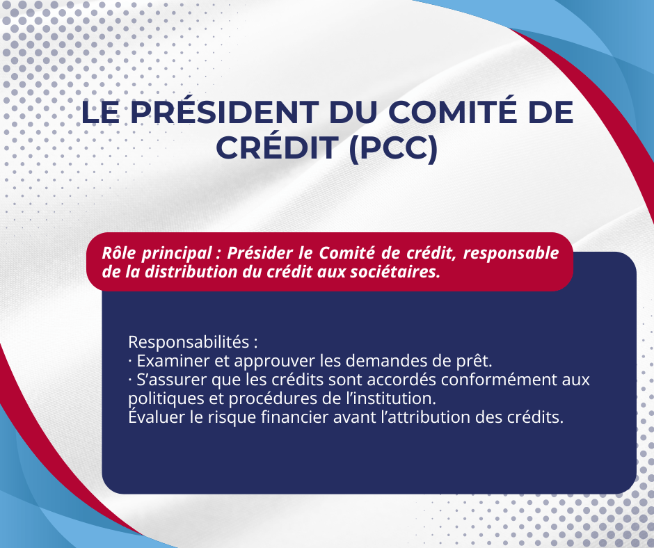 Le Président du Conseil d’Administration (PCA)